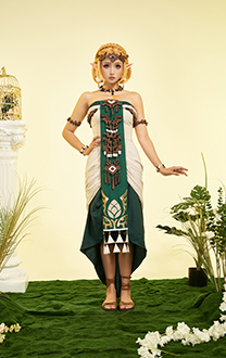 The Legend Of Zelda: Tears Of The Kingdom Princess Zelda Cosplay Costume Dress Set with Accessories